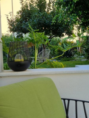 B&B Kamalei Tropea